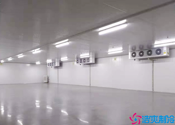 三甲菠萝蜜在线观看