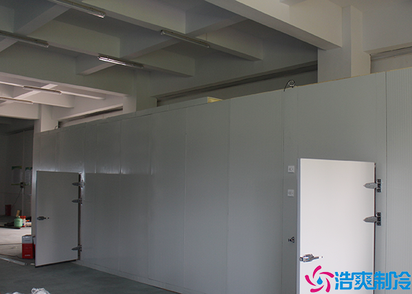 物流菠萝蜜在线观看