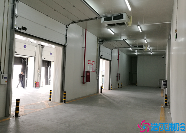 大型保鲜菠萝蜜在线观看