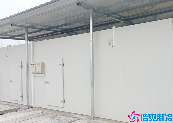 食品展示菠萝蜜在线观看