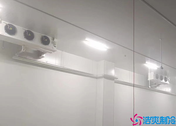 移动菠萝蜜在线观看