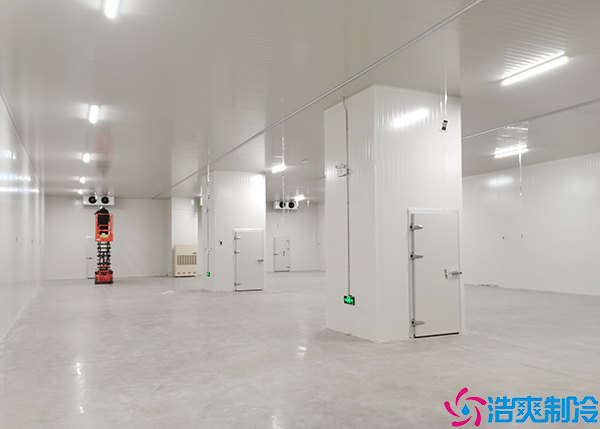 移动菠萝蜜在线观看