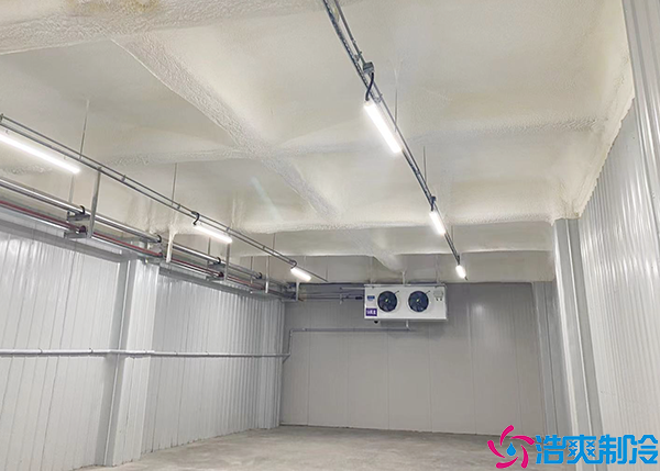 菠萝蜜在线观看建造