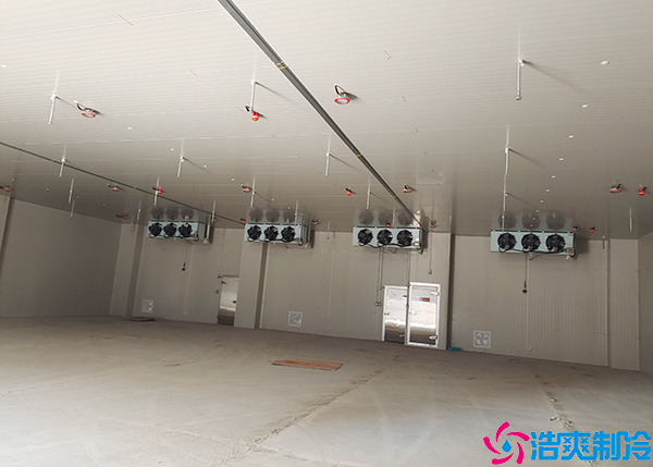 菠萝蜜在线观看制冷系统