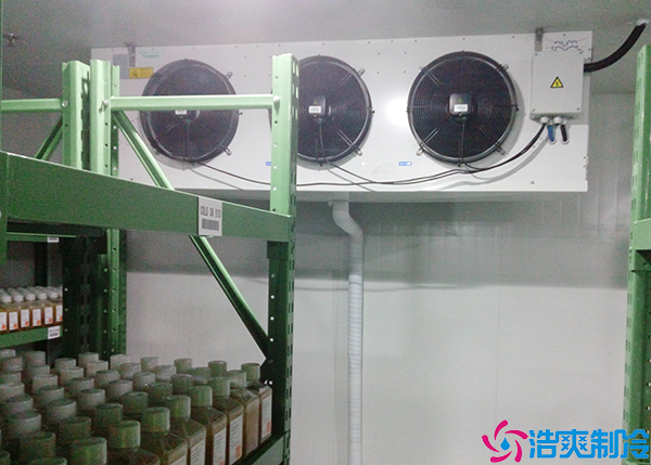 水果保鲜菠萝蜜在线观看