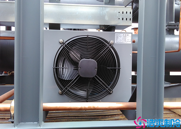 超市菠萝蜜在线观看