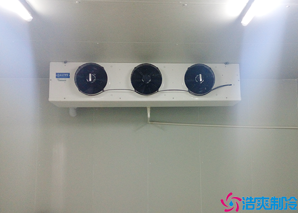 超市菠萝蜜在线观看