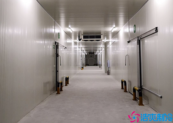 冷链食品菠萝蜜在线观看