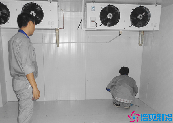 食品菠萝蜜在线观看