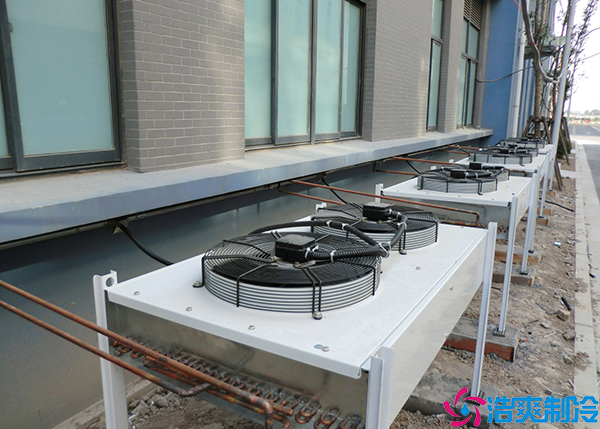 单温菠萝蜜在线观看