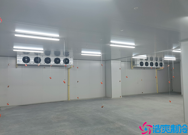 排酸菠萝蜜在线观看