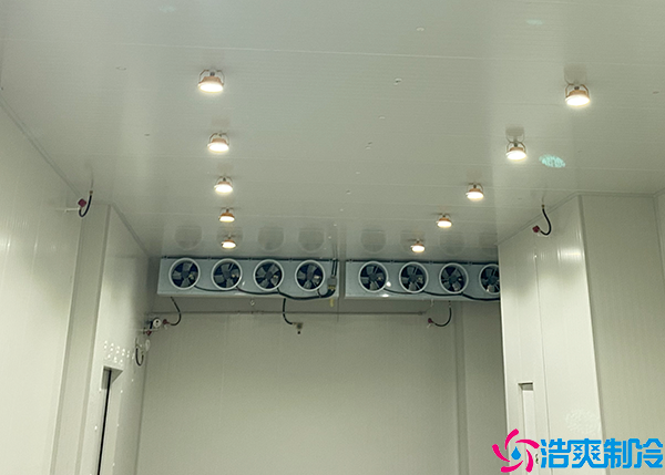 双温菠萝蜜在线观看