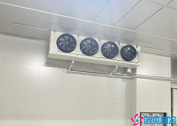 大型鲜花菠萝蜜在线观看