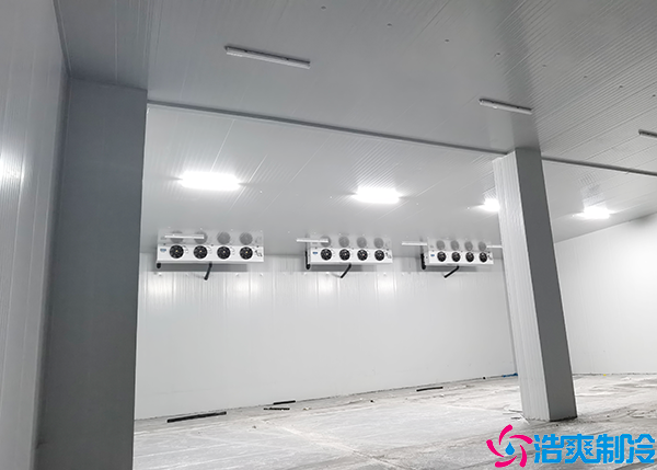 1000平方米菠萝蜜在线观看