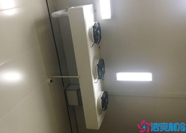 大型冷链物流菠萝蜜在线观看