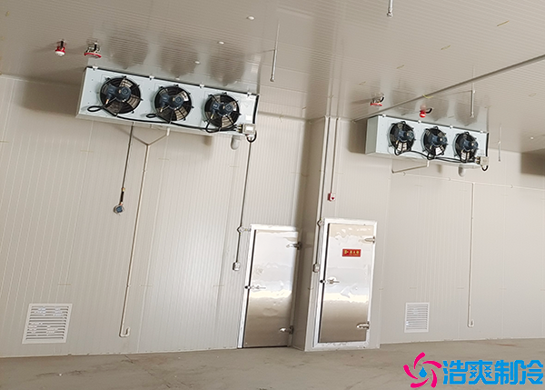 排酸菠萝蜜在线观看