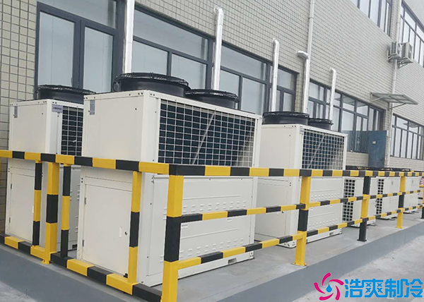 单温菠萝蜜在线观看