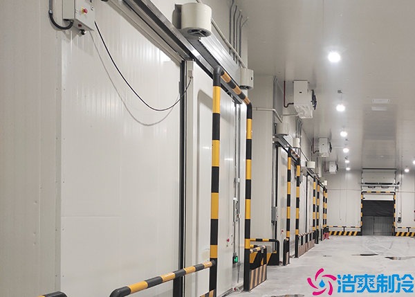 生鲜菠萝蜜在线观看