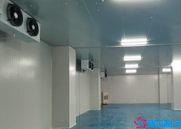 蔬菜菠萝蜜在线观看