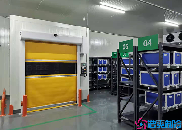 气调菠萝蜜在线观看