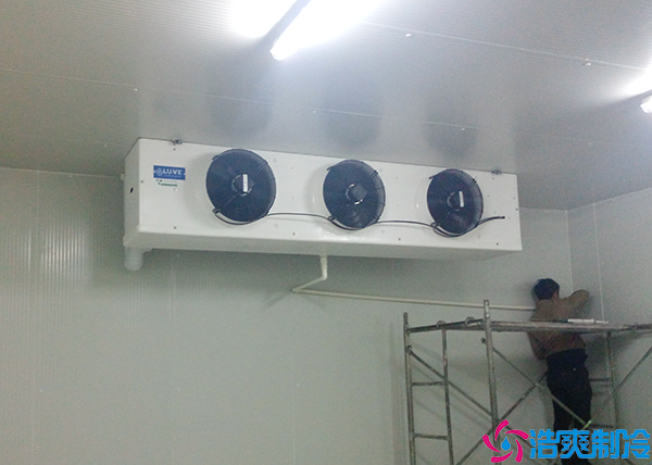 物流菠萝蜜在线观看