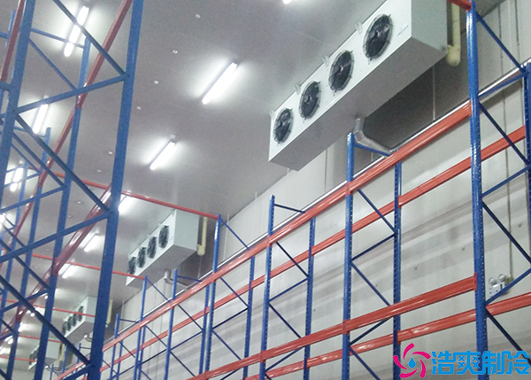 速冻菠萝蜜在线观看