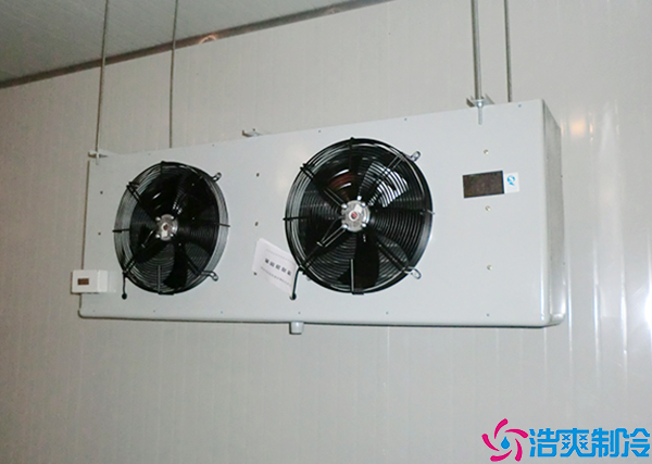 水果菠萝蜜在线观看