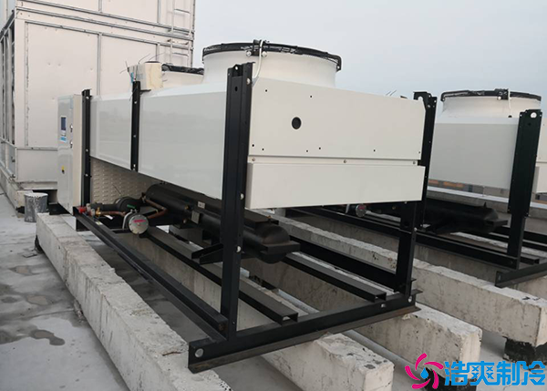 食品菠萝蜜在线观看