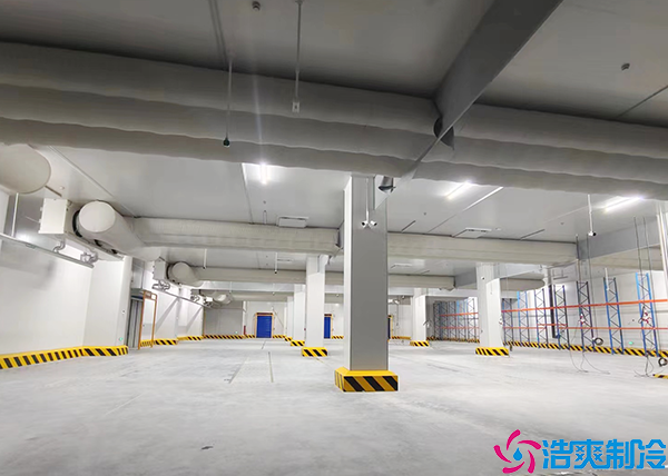 菠萝蜜在线观看建造