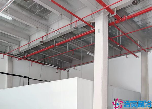 生鲜菠萝蜜在线观看