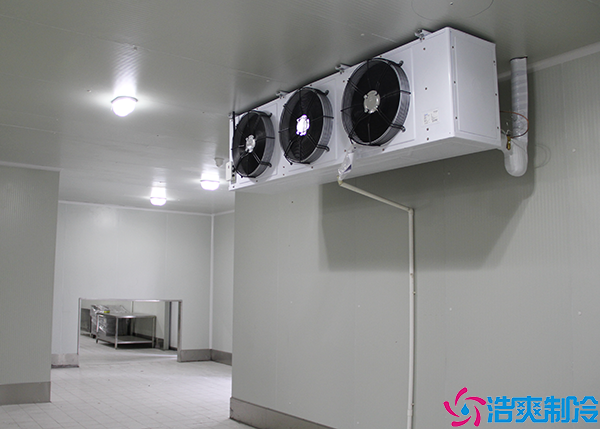 食品菠萝蜜在线观看