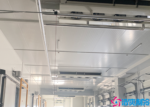 蔬菜菠萝蜜在线观看