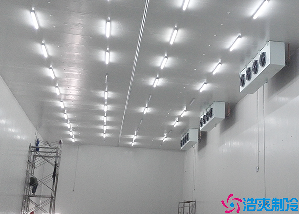 菠萝蜜在线观看安装