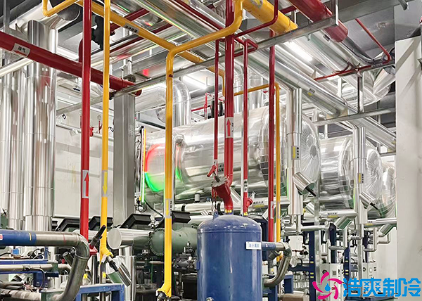 恒温菠萝蜜在线观看