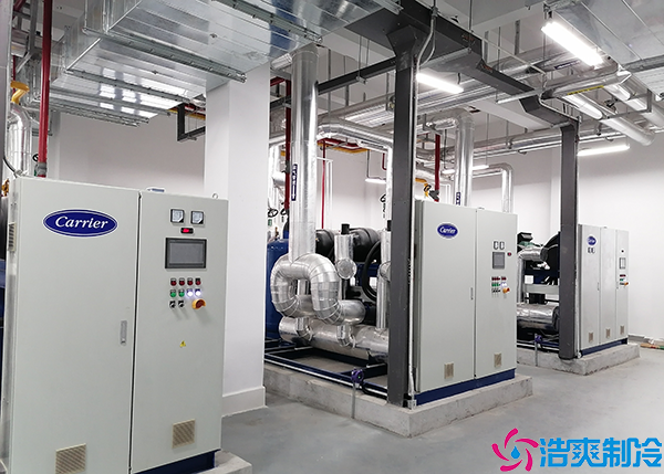 恒温菠萝蜜在线观看