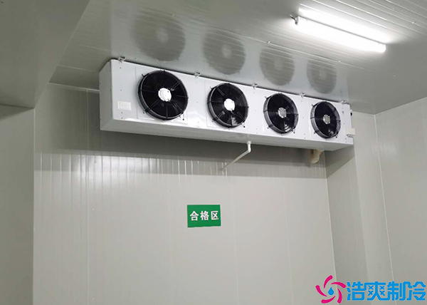 速冻菠萝蜜在线观看