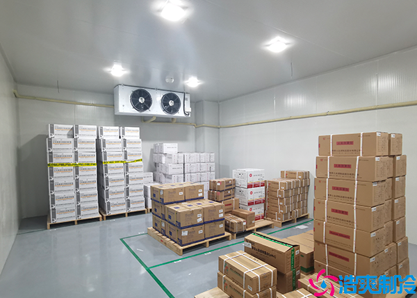 蔬菜保鲜菠萝蜜在线观看