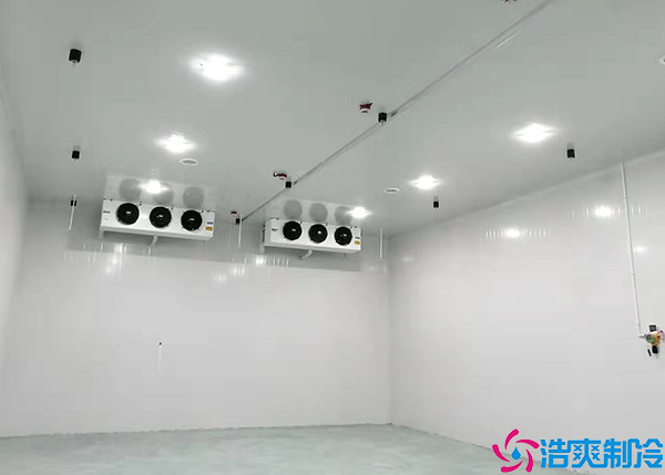 食品速冻菠萝蜜在线观看