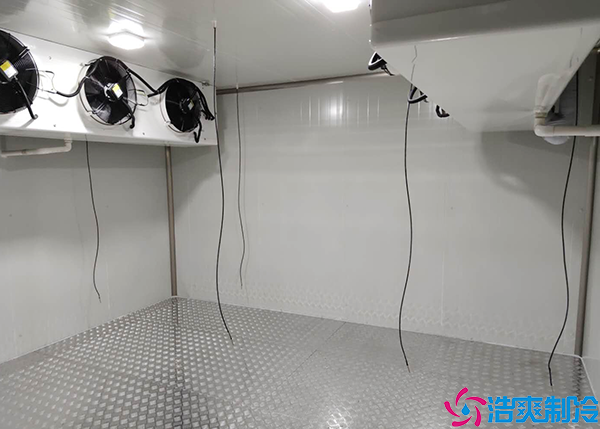 排酸速冻菠萝蜜在线观看