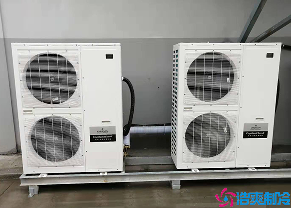 排酸速冻菠萝蜜在线观看