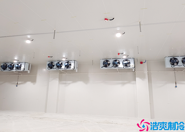 电商生鲜菠萝蜜在线观看