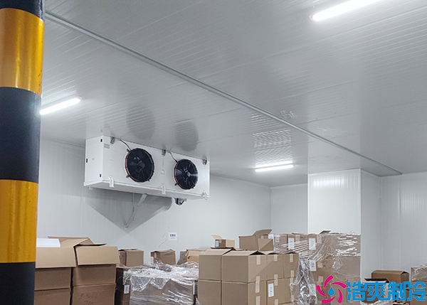 中型保鲜菠萝蜜在线观看