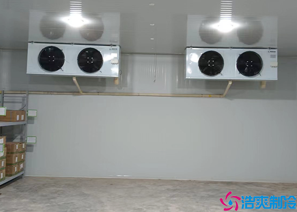 移动菠萝蜜在线观看