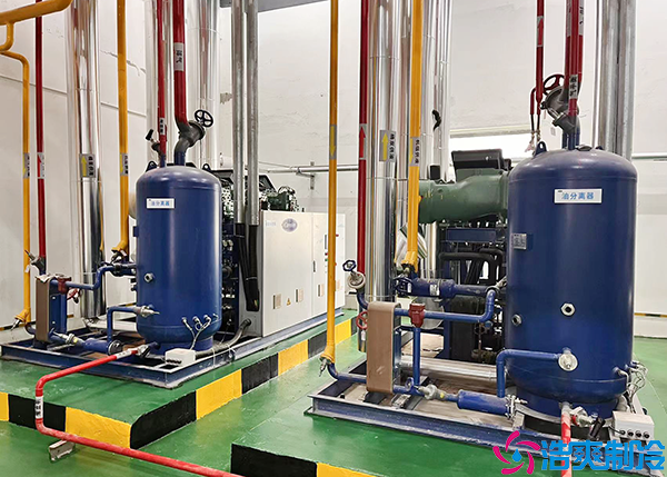 菠萝蜜在线观看机组