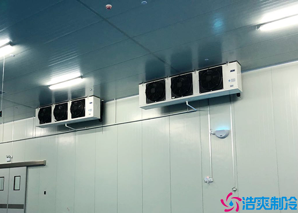 大型菠萝蜜在线观看