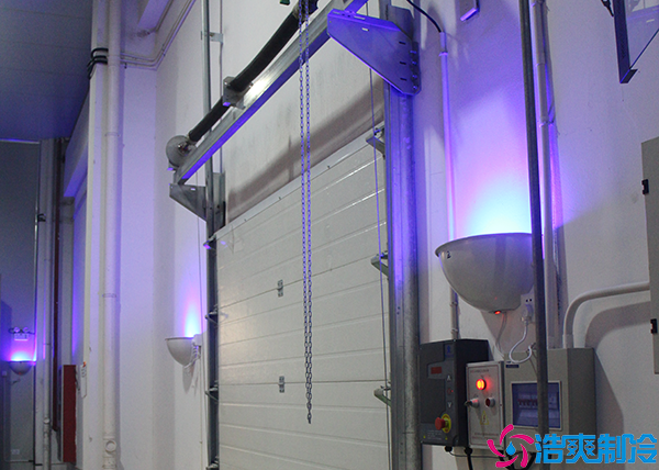 花卉菠萝蜜在线观看