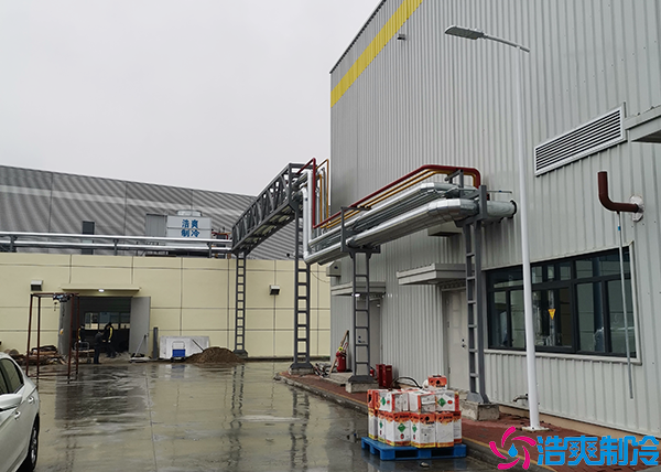 食品菠萝蜜在线观看