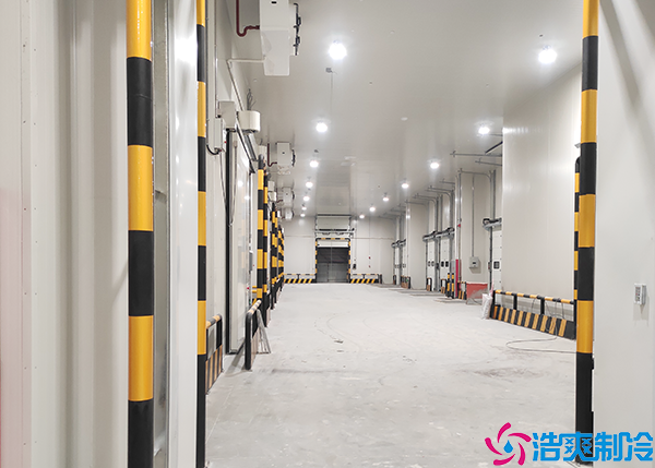 食品菠萝蜜在线观看