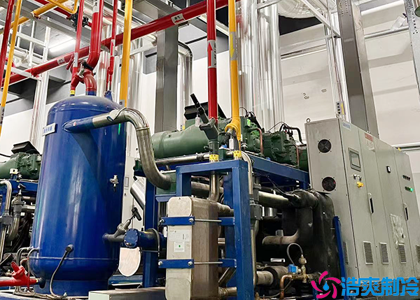 大型菠萝蜜在线观看的机组设计与安装方案