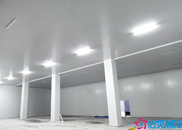 4万吨菠萝蜜在线观看